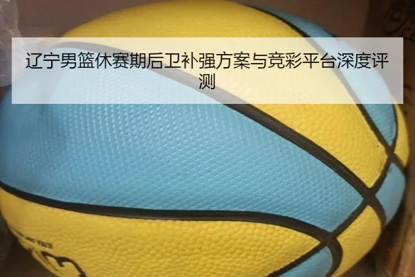 辽宁男篮休赛期后卫补强方案与竞彩平台深度评测