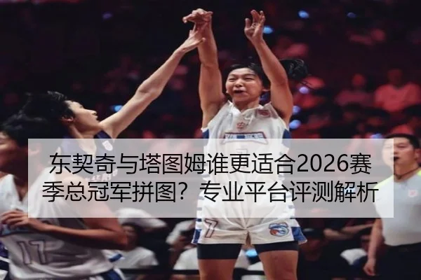 东契奇与塔图姆谁更适合2026赛季总冠军拼图？专业平台评测解析